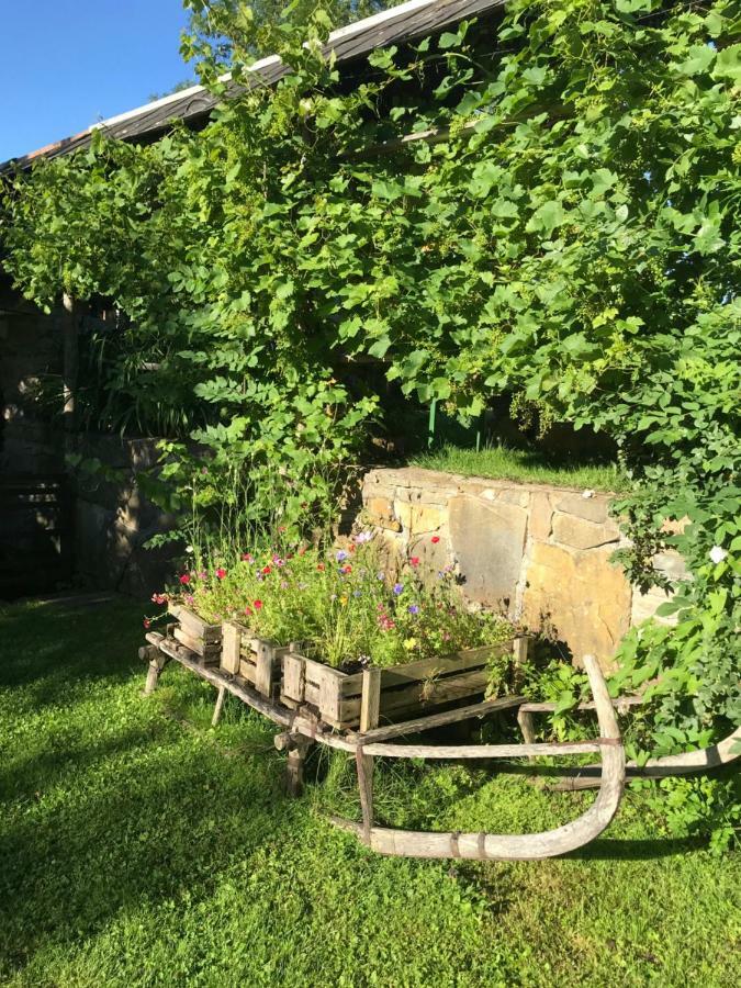 Appartement Traunseeferien Altmünster Екстериор снимка